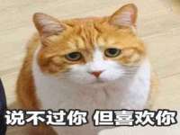 合肥瑶海区王韩服装网店