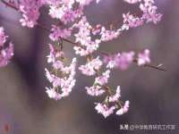 合肥瑶海区王韩服装网店