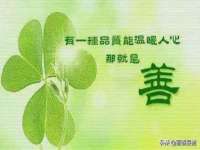 合肥瑶海区王韩服装网店