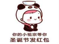 合肥瑶海区王韩服装网店