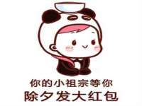 合肥瑶海区王韩服装网店