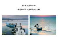 合肥瑶海区王韩服装网店