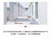 合肥瑶海区王韩服装网店