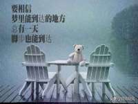 合肥瑶海区王韩服装网店