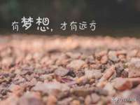 合肥瑶海区王韩服装网店