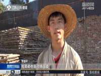 合肥瑶海区王韩服装网店