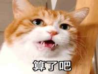 合肥瑶海区王韩服装网店