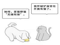 合肥瑶海区王韩服装网店