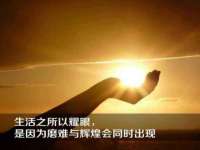 合肥瑶海区王韩服装网店