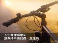 合肥瑶海区王韩服装网店