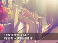 合肥瑶海区王韩服装网店