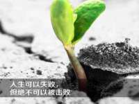 合肥瑶海区王韩服装网店