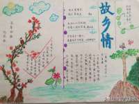 合肥瑶海区王韩服装网店