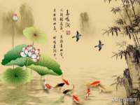 合肥瑶海区王韩服装网店