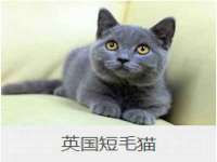 合肥瑶海区王韩服装网店