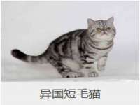 合肥瑶海区王韩服装网店