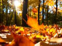 合肥瑶海区王韩服装网店