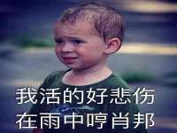 合肥瑶海区王韩服装网店