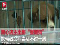 合肥瑶海区王韩服装网店