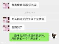 合肥瑶海区王韩服装网店