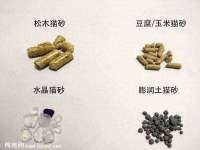 合肥瑶海区王韩服装网店