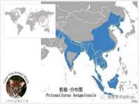 合肥瑶海区王韩服装网店