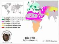 合肥瑶海区王韩服装网店