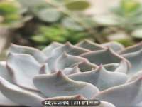 合肥瑶海区王韩服装网店