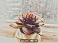 合肥瑶海区王韩服装网店
