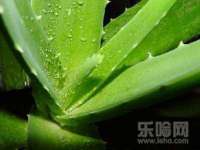 合肥瑶海区王韩服装网店