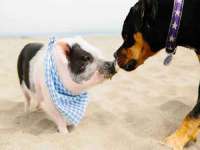 合肥瑶海区王韩服装网店