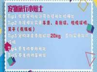 合肥瑶海区王韩服装网店