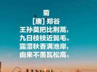 合肥瑶海区王韩服装网店