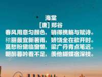 合肥瑶海区王韩服装网店