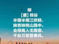 合肥瑶海区王韩服装网店