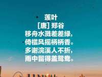 合肥瑶海区王韩服装网店