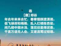 合肥瑶海区王韩服装网店