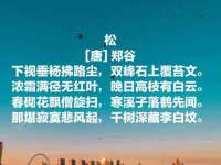 合肥瑶海区王韩服装网店