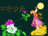 合肥瑶海区王韩服装网店
