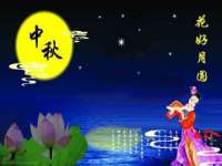 合肥瑶海区王韩服装网店