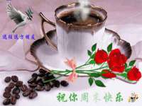 合肥瑶海区王韩服装网店