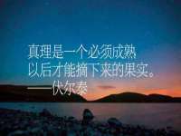 合肥瑶海区王韩服装网店