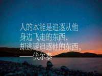 合肥瑶海区王韩服装网店