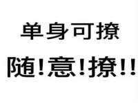 合肥瑶海区王韩服装网店
