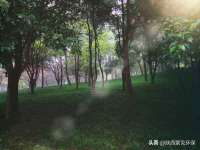 合肥瑶海区王韩服装网店