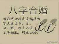 合肥瑶海区王韩服装网店