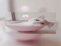 合肥瑶海区王韩服装网店