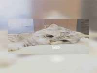 合肥瑶海区王韩服装网店