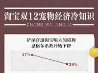 合肥瑶海区王韩服装网店