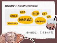 合肥瑶海区王韩服装网店